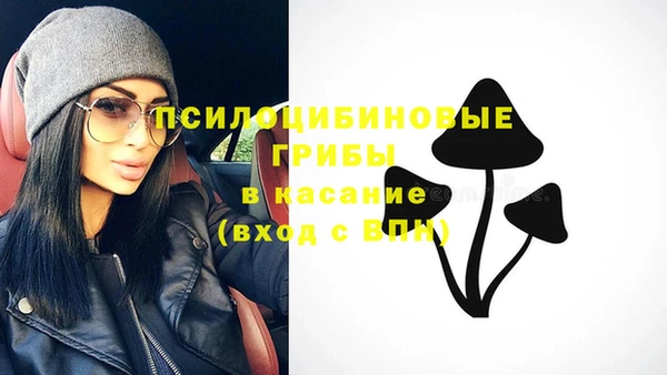 ешки Алексеевка
