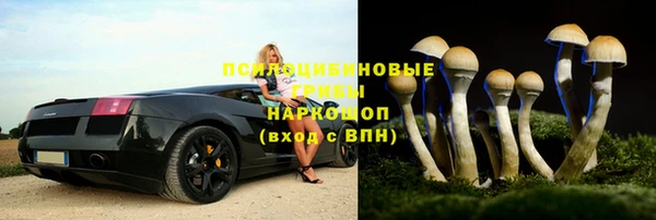 ешки Алексеевка