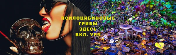 прущая мука Кинешма